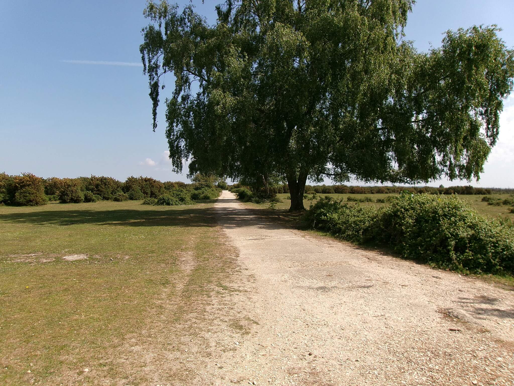 Hatchet Pond &amp; Beaulieu Heath