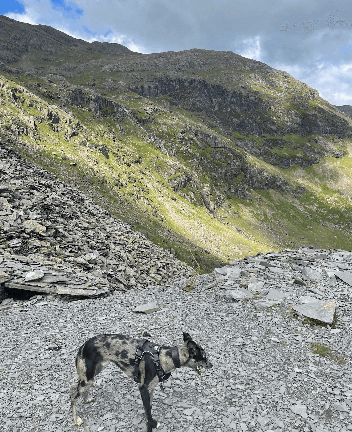 The Old Man of Coniston