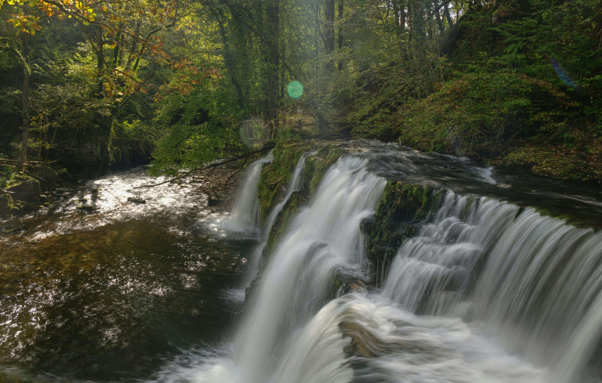 Dog Friendly Walks Across the Beautiful Brecon Beacons
