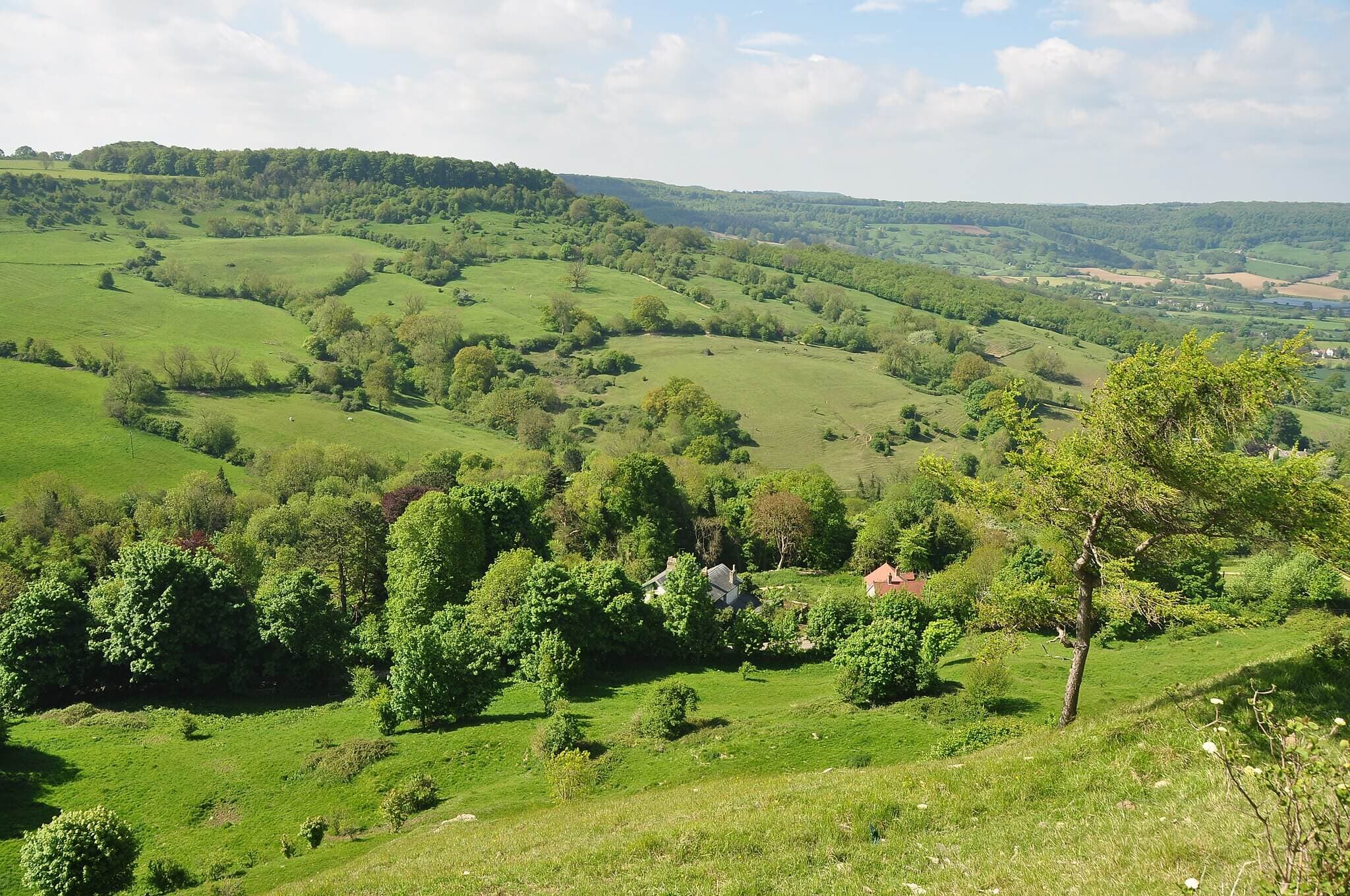 Crickley Hill and the Cotswold Way