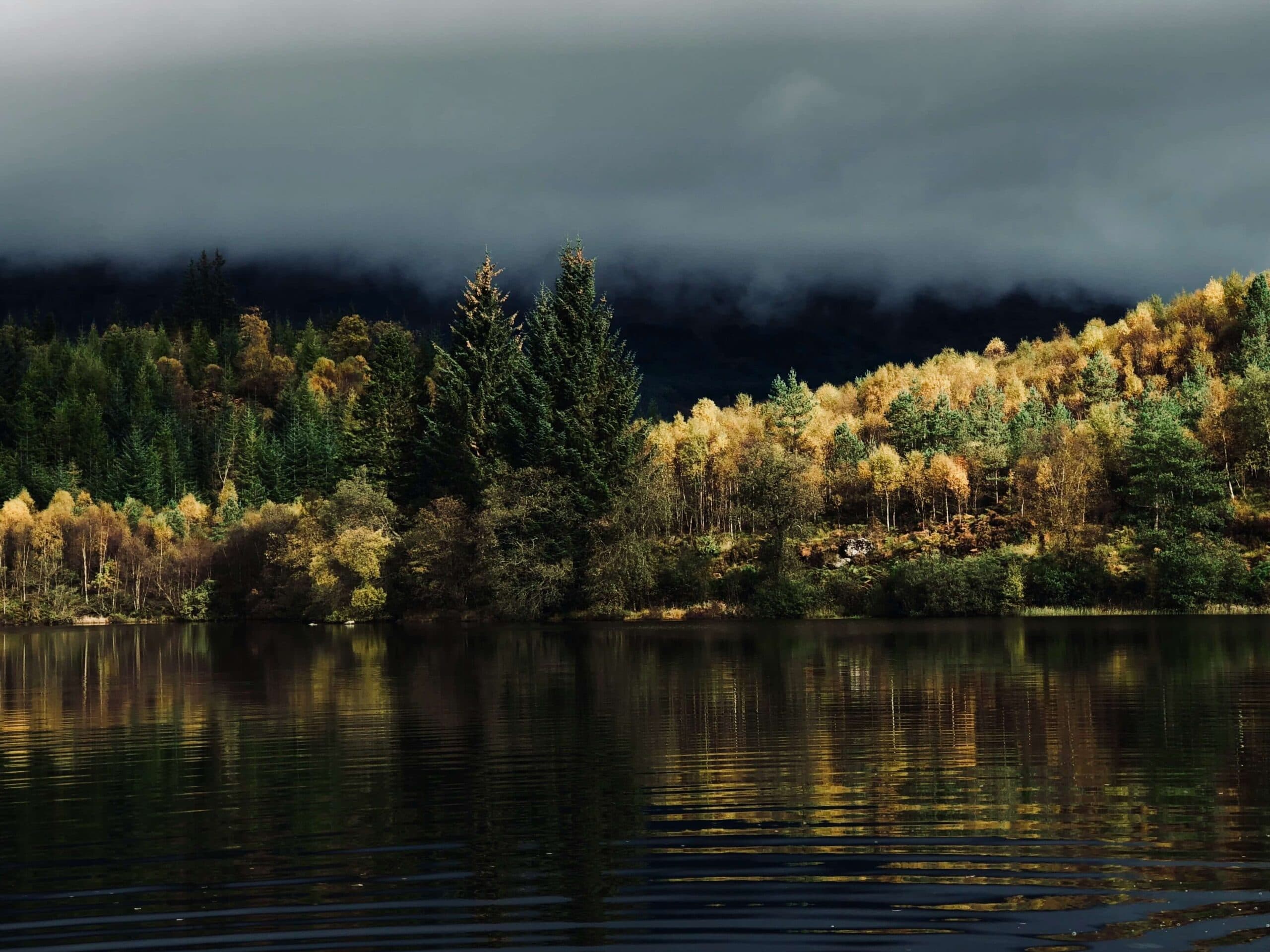 Loch Ard Forest Trails