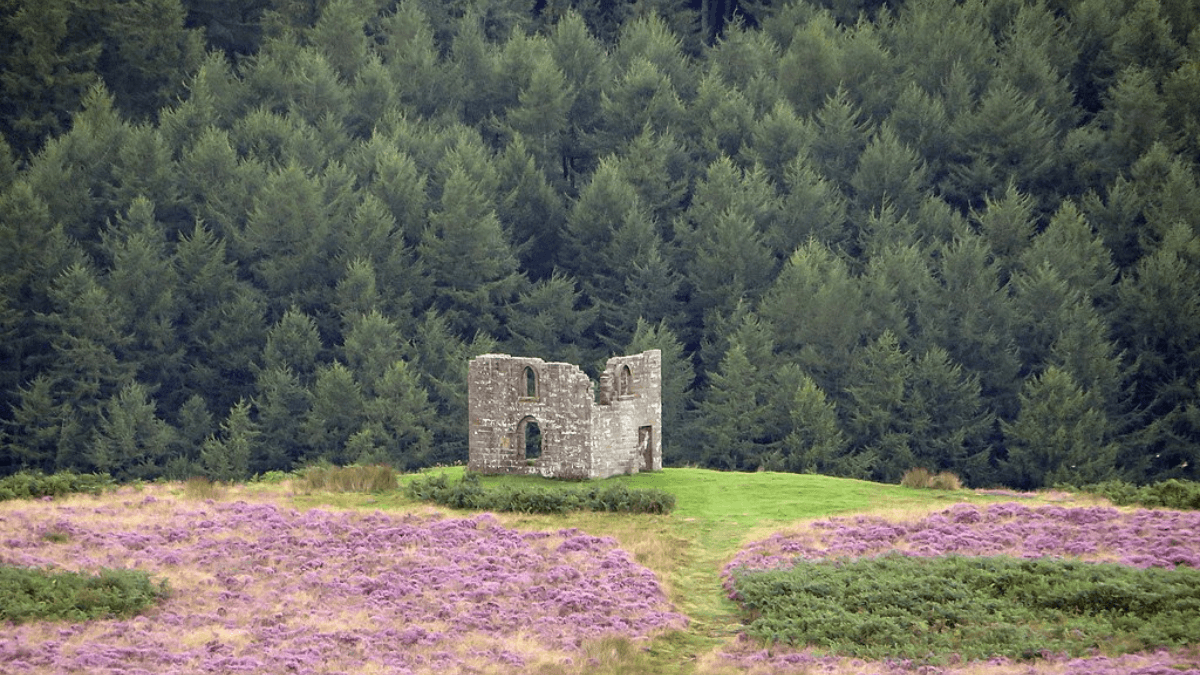 Levisham Moor and Skelton Tower