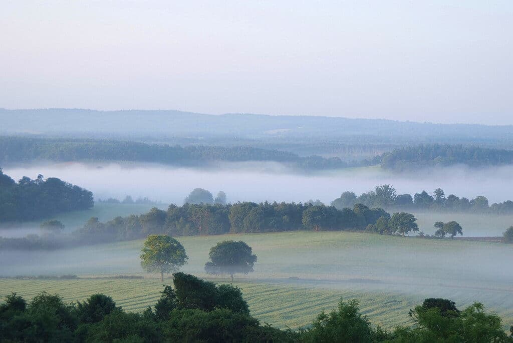 Newlands Corner and the North Downs Way
