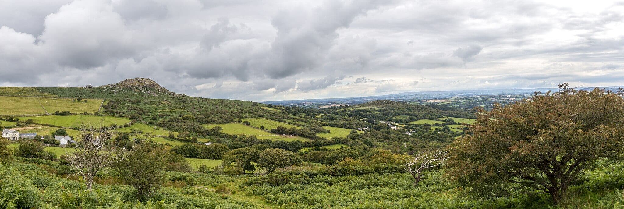 Rough Tor and Brown Willy (Bodmin Moor)