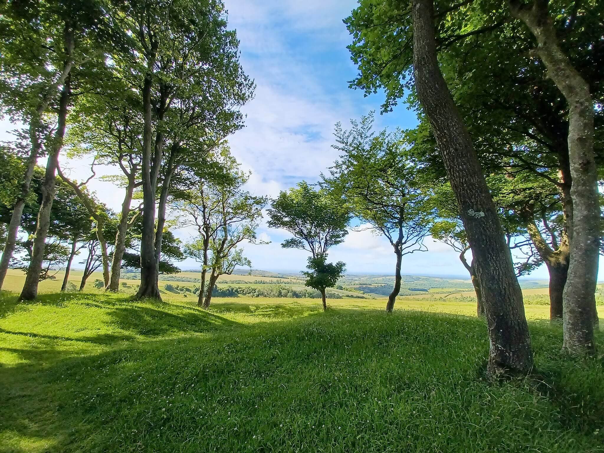 Chanctonbury Ring