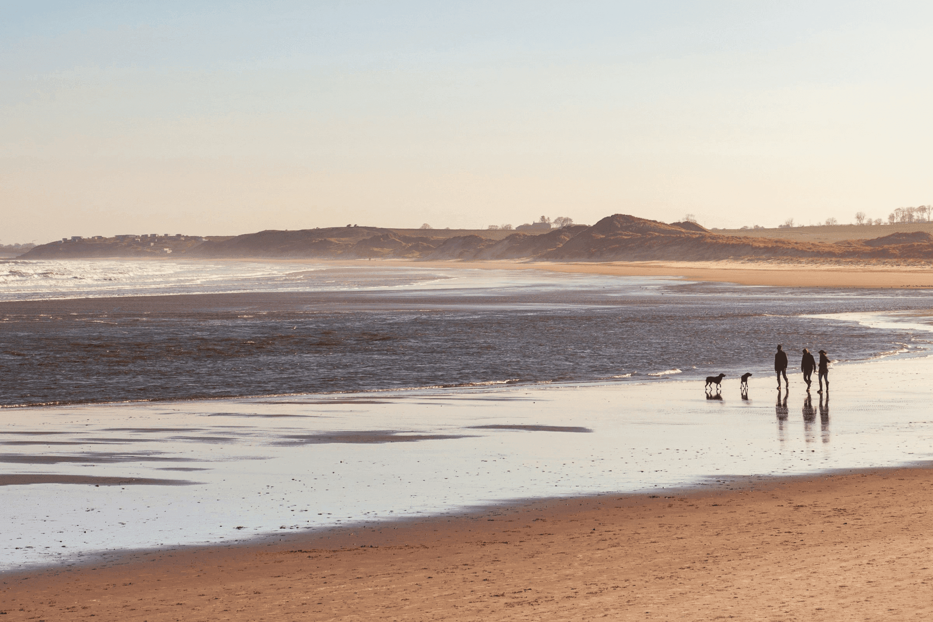 A family walks their two dogs on a god friendly beach in Alnwick, Northumberland