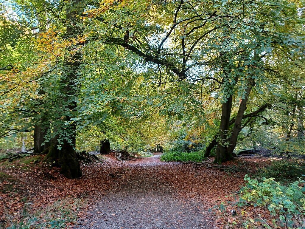 Ashridge Estate Chilterns Circuit