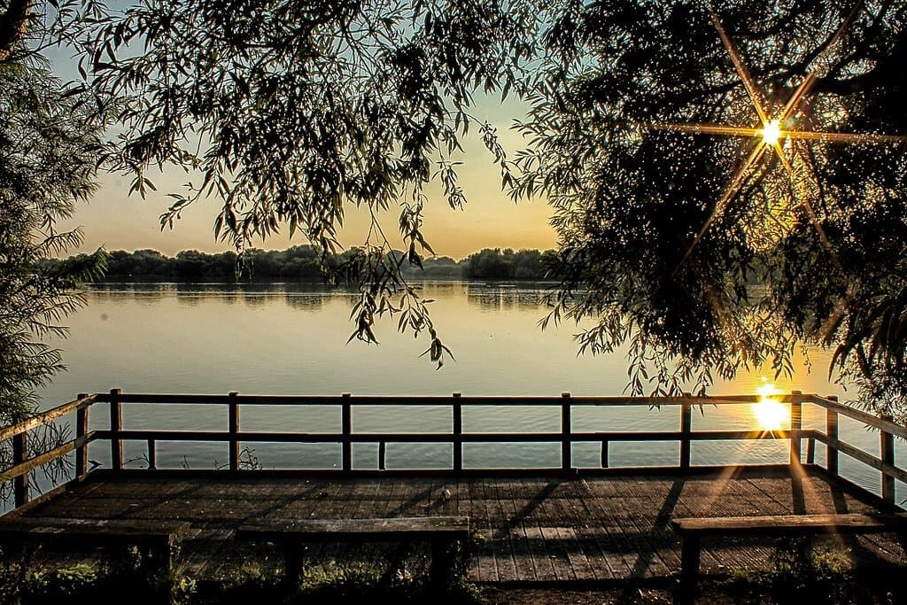 Attenborough Nature Reserve Skylark Trail