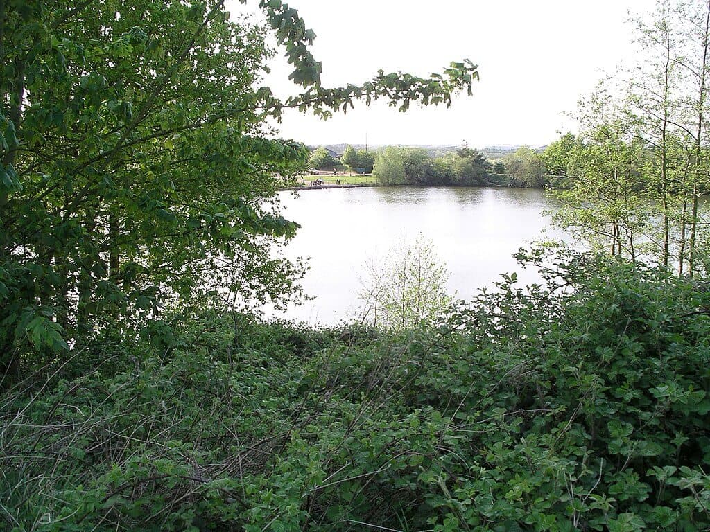 Ryton Pools Country Park and Ryton Wood Circuit