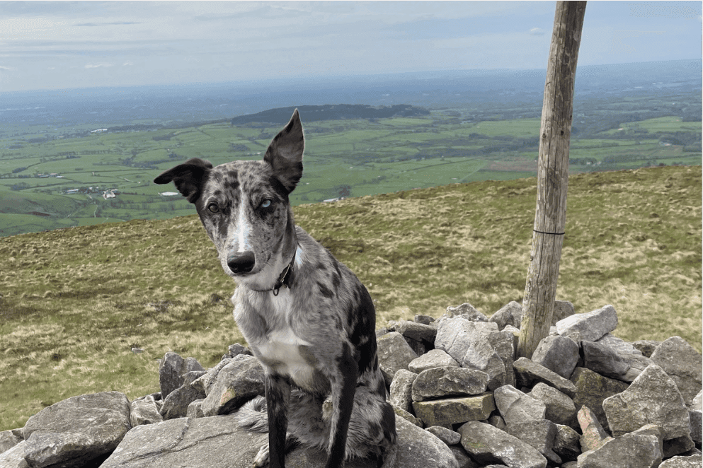 Paddy’s Pole and Winter Hill Circular
