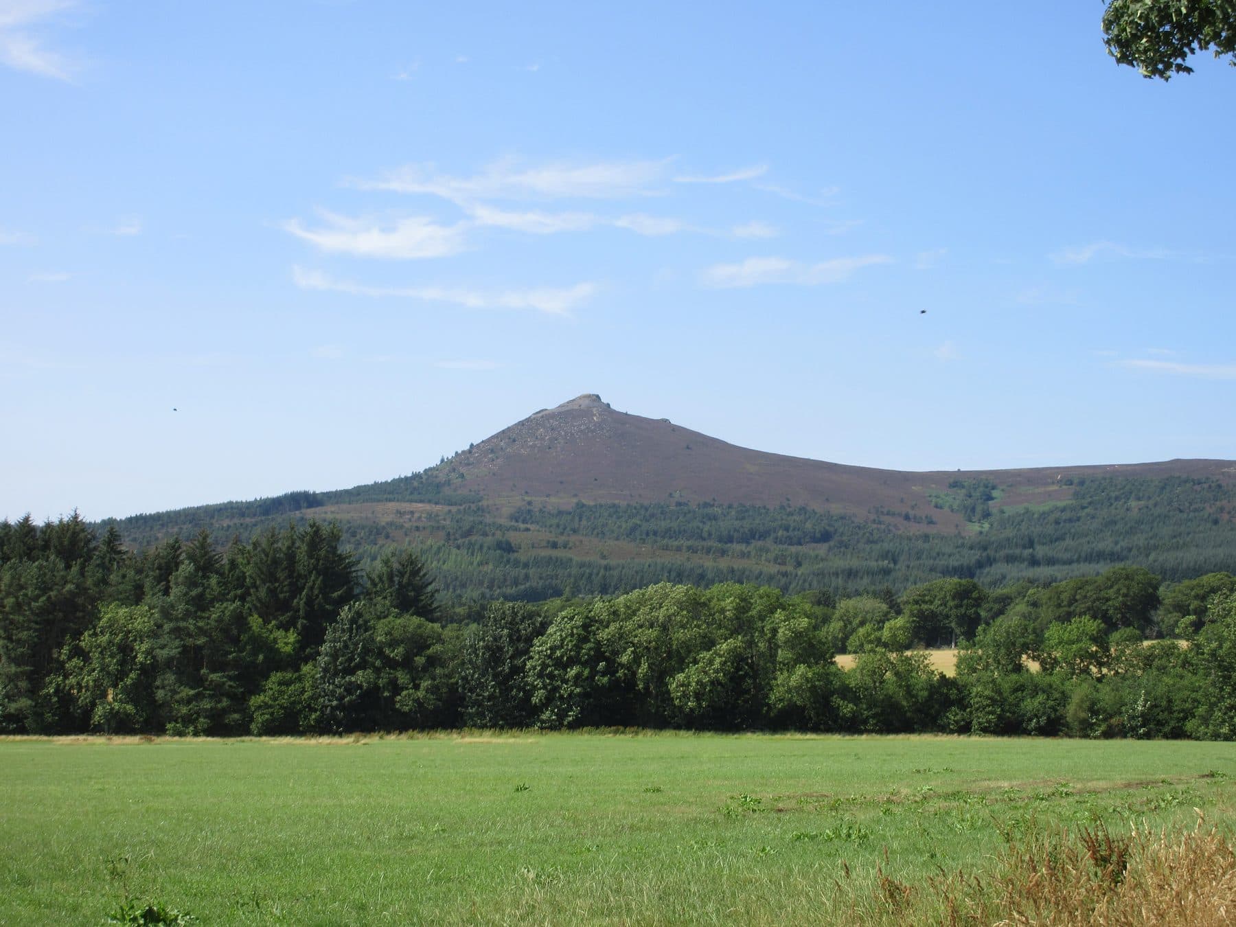 Bennachie: Mither Tap Summit Walk