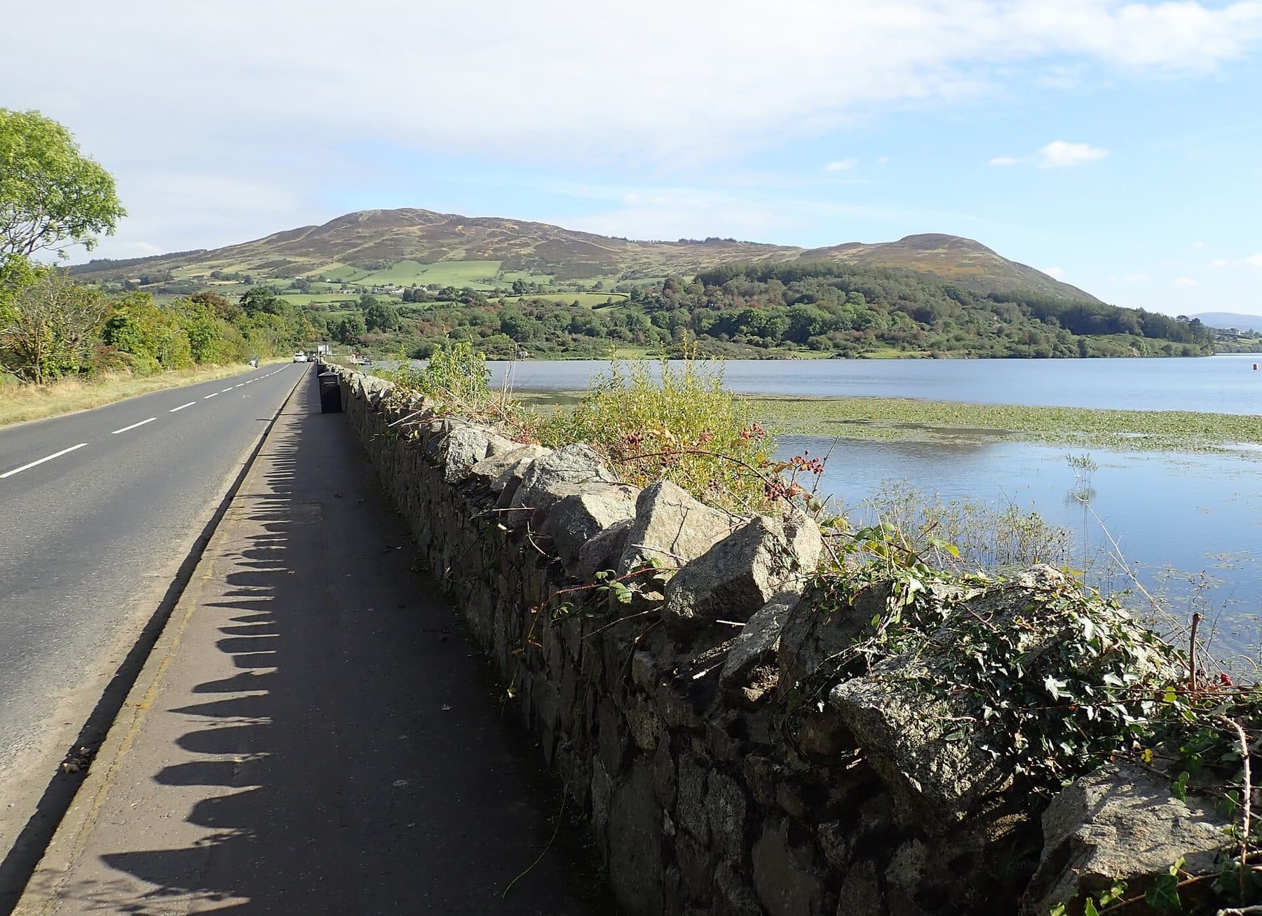 Camlough Mountain Circular Walk