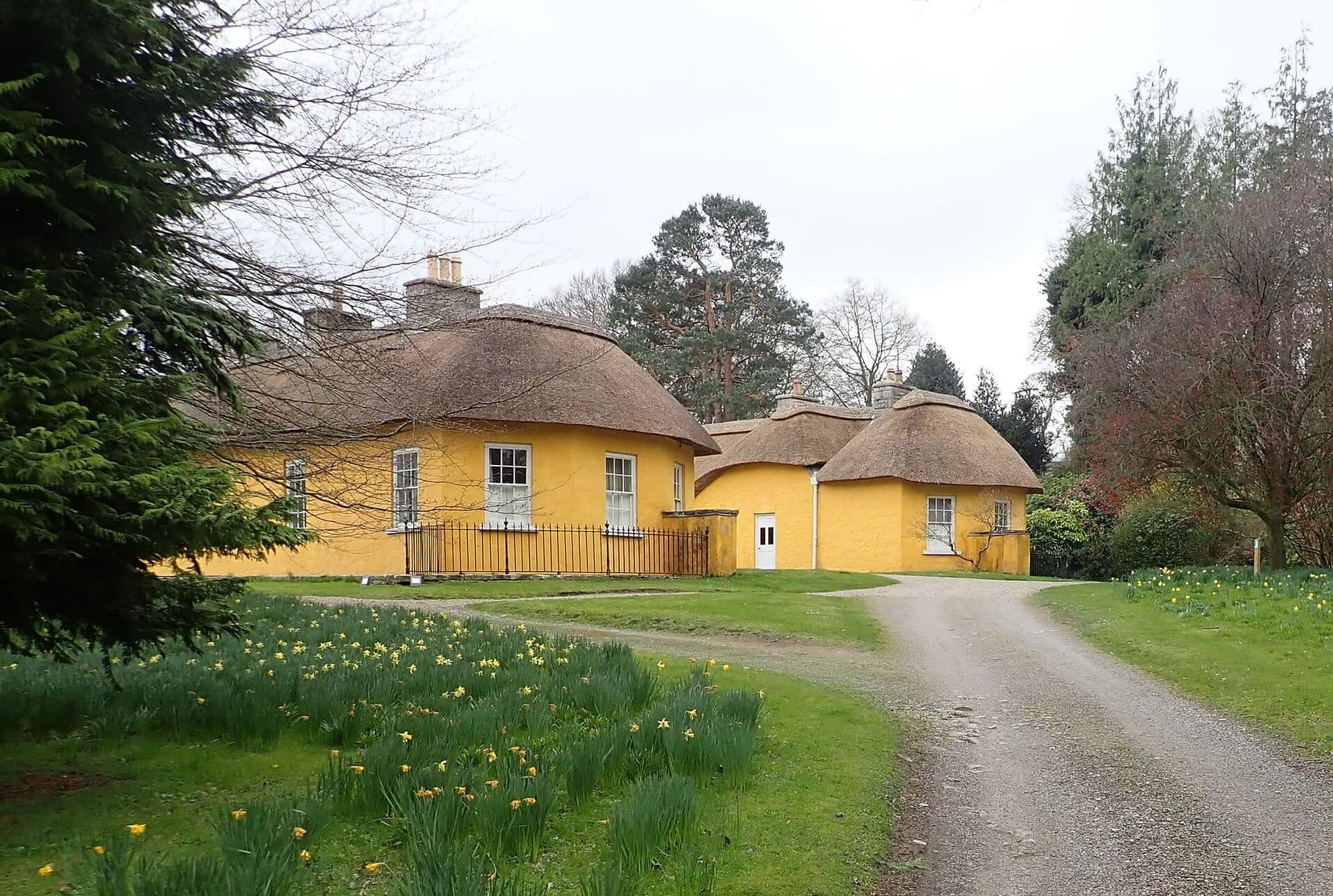Derrymore House Woodland Walk
