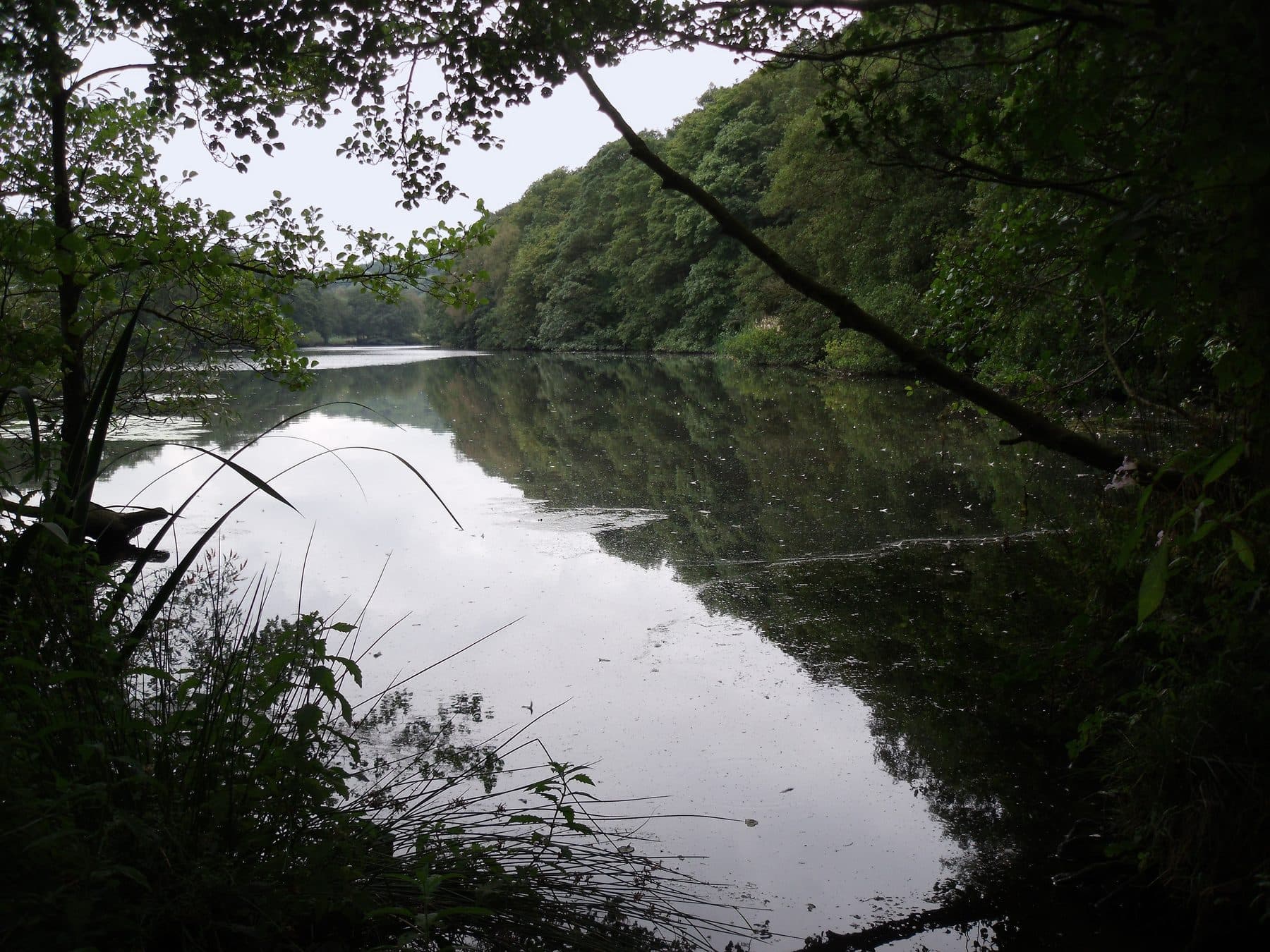 Etherow Country Park Circular