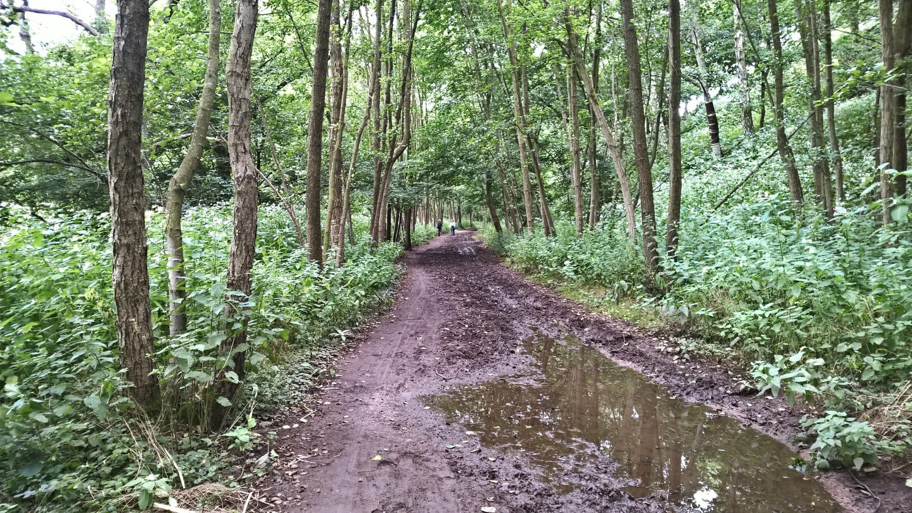 Froghall to Oakamoor Circular Walk