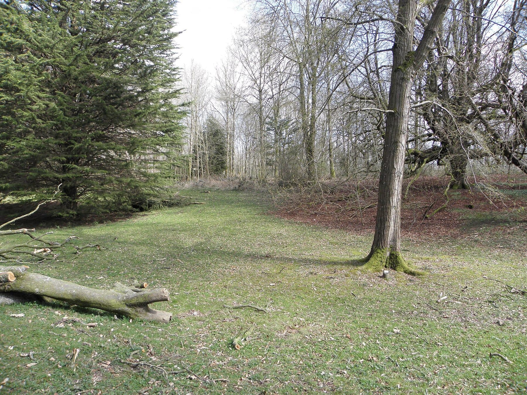 Gosford Forest Park Circular