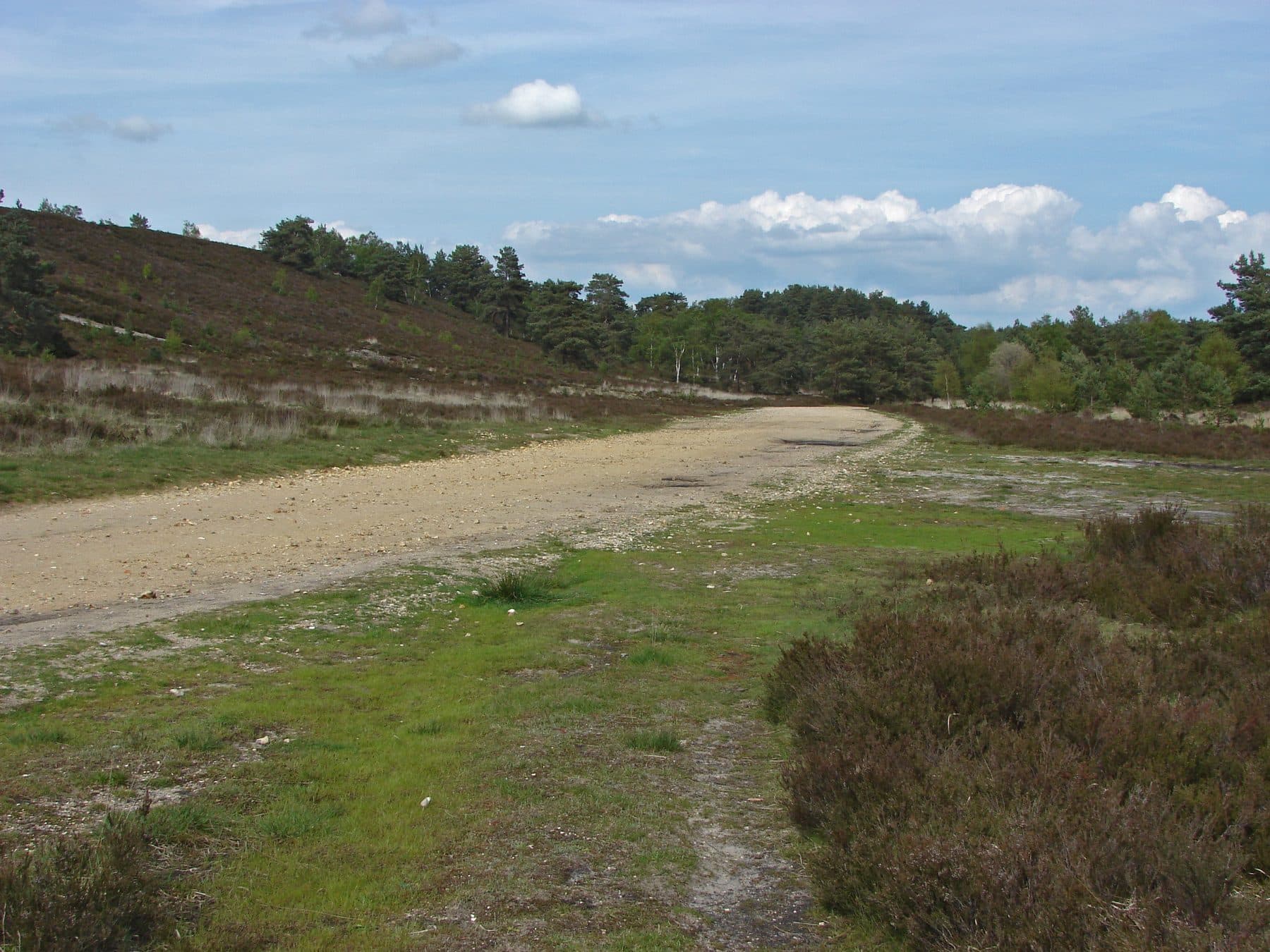 Hankley Common Heathland Walk