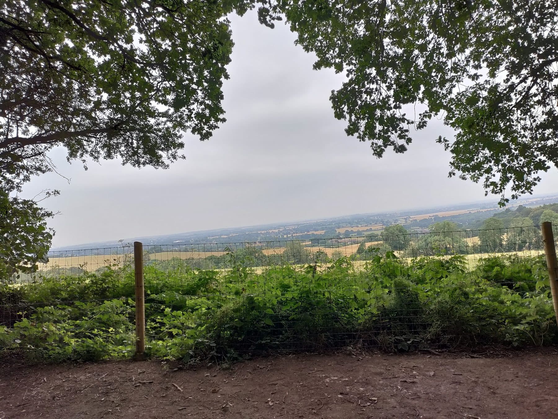 Hartshill Hayes Country Park Circular