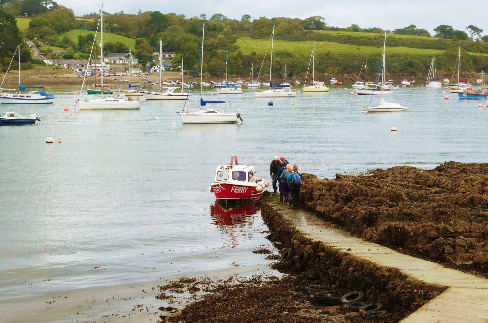Helford River Circular Walk