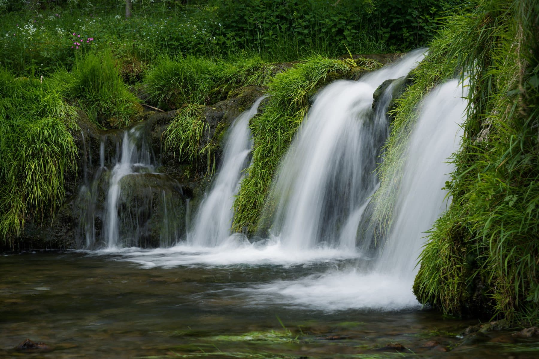 Lathkill Dale Nature Reserve Walk