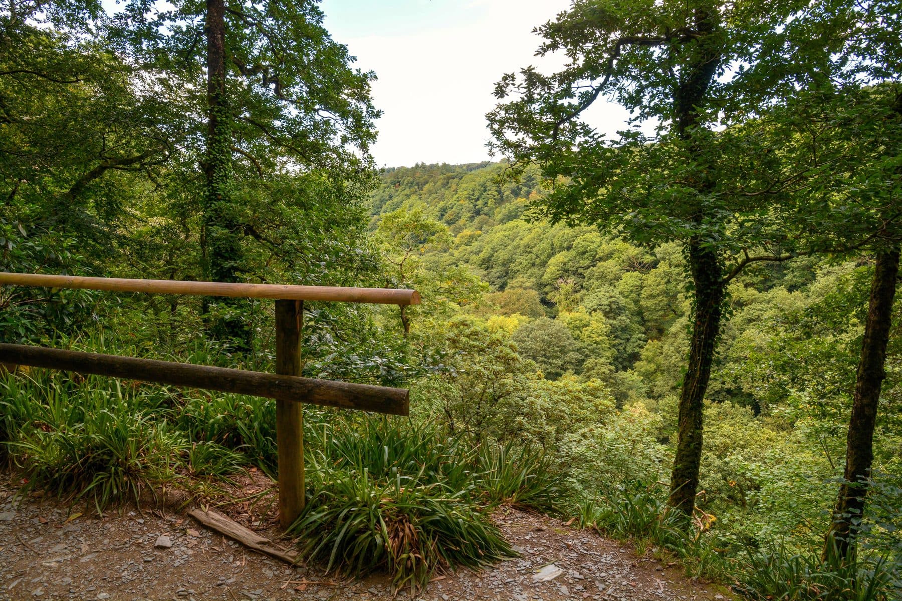 Lydford Gorge Circular Walk
