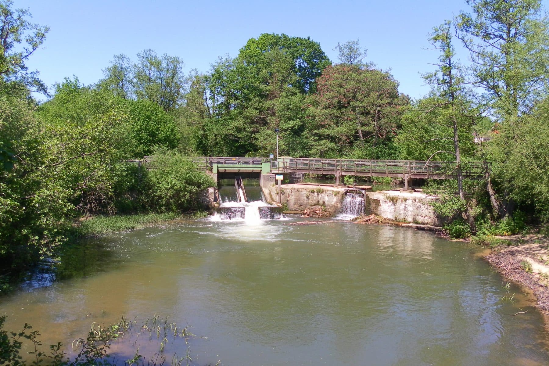 Midhurst and the River Rother Walk