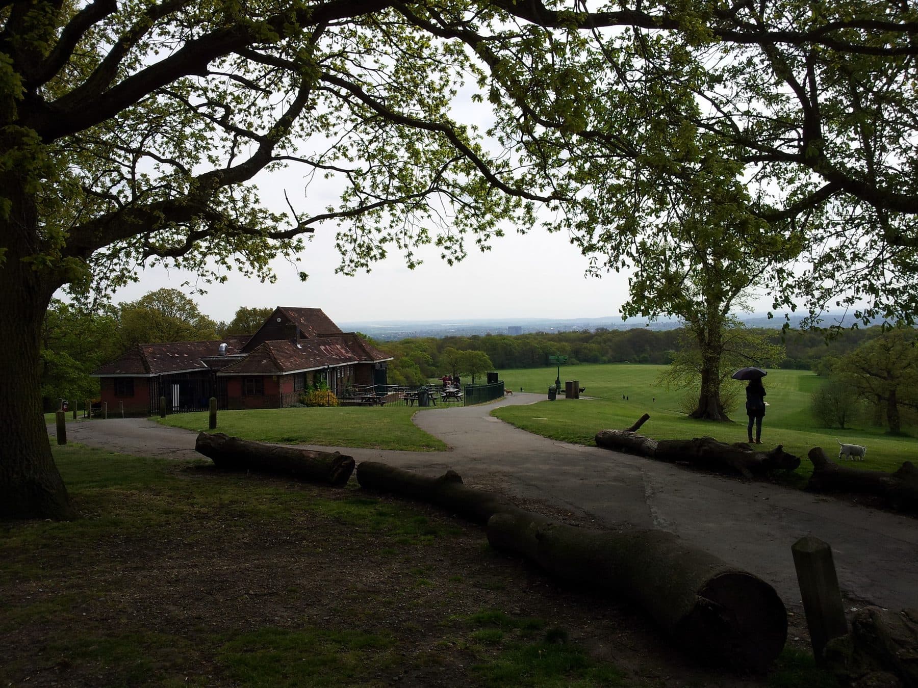 Oxleas Wood and Shooters Hill Walk