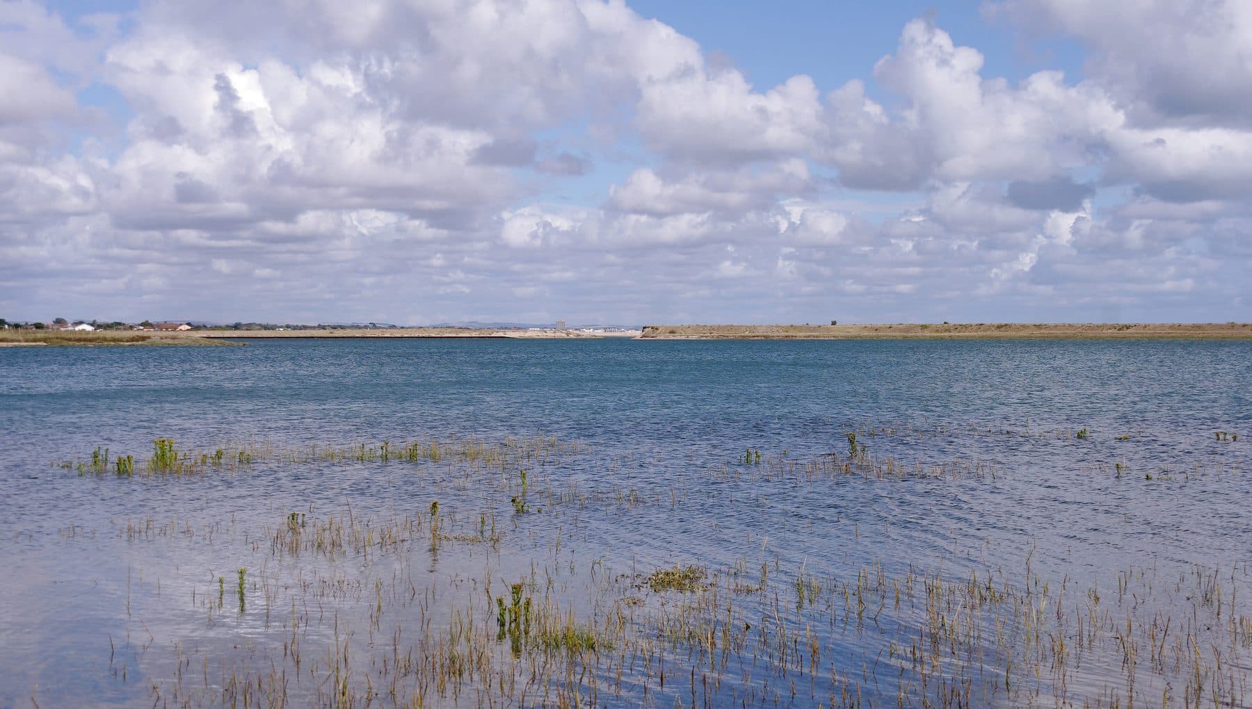 Pagham Harbour Circular Walk