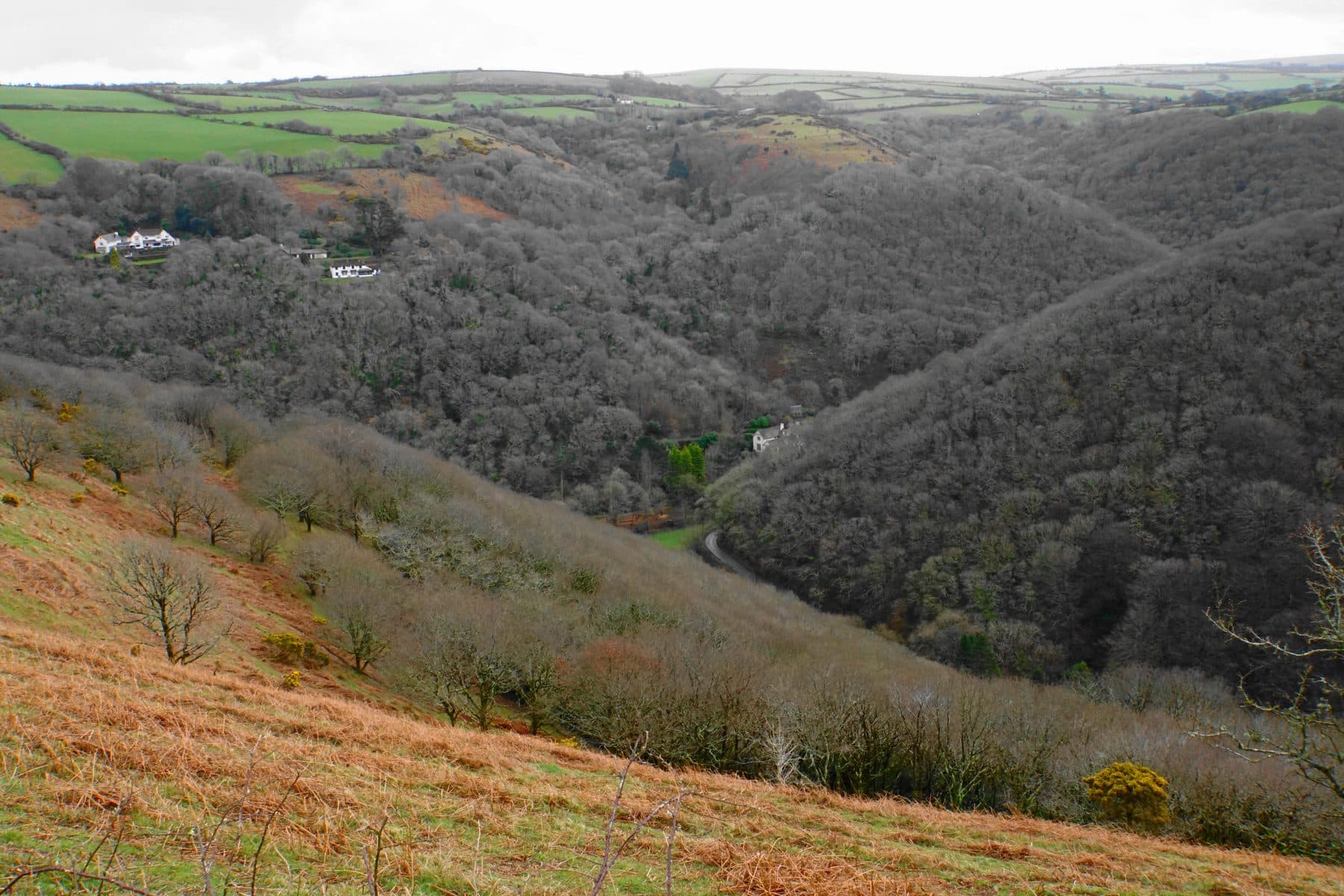 Parracombe and Heddon Valley Circular
