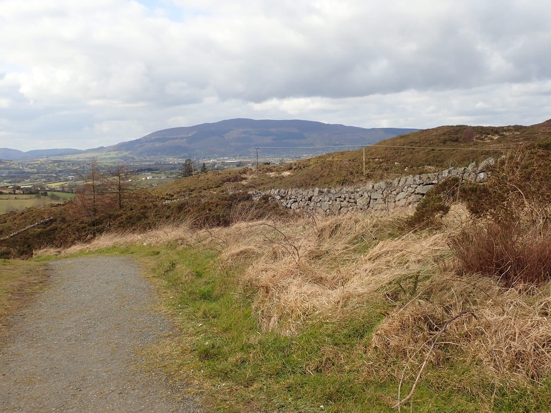Slieve Gullion Forest Park Circular