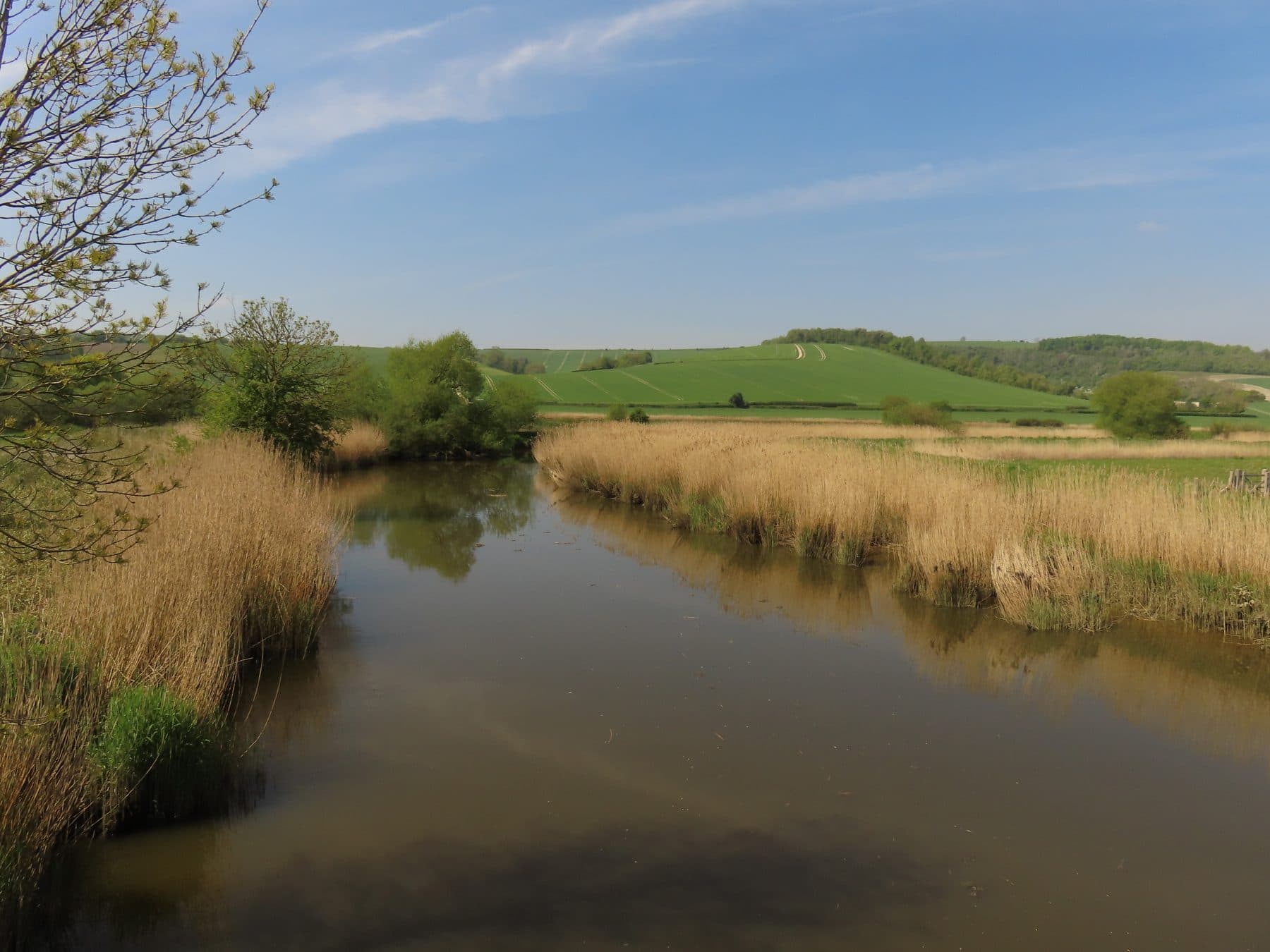 South Downs Way: Amberley to Houghton