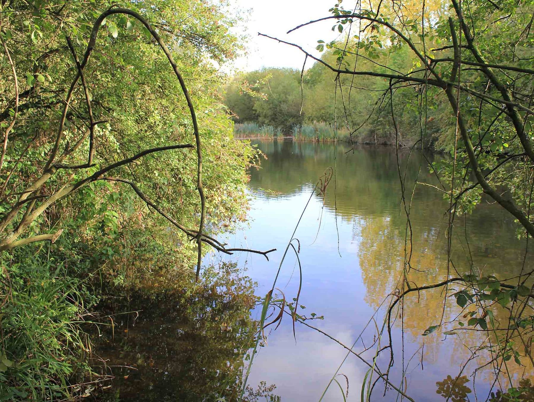 Ufton Fields Nature Reserve Circular