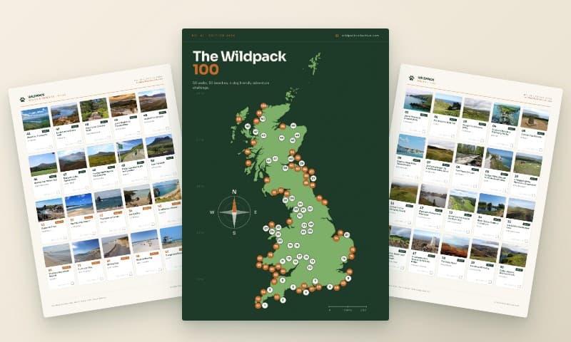 The Wildpack 100 — UK's first dog-friendly challenge