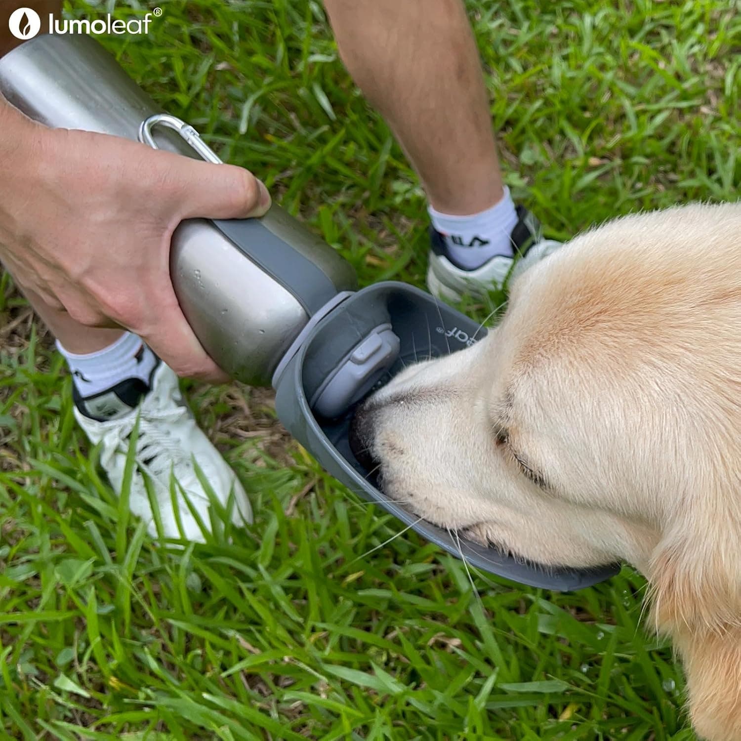 LumoLeaf Portable Dog Water Bottles