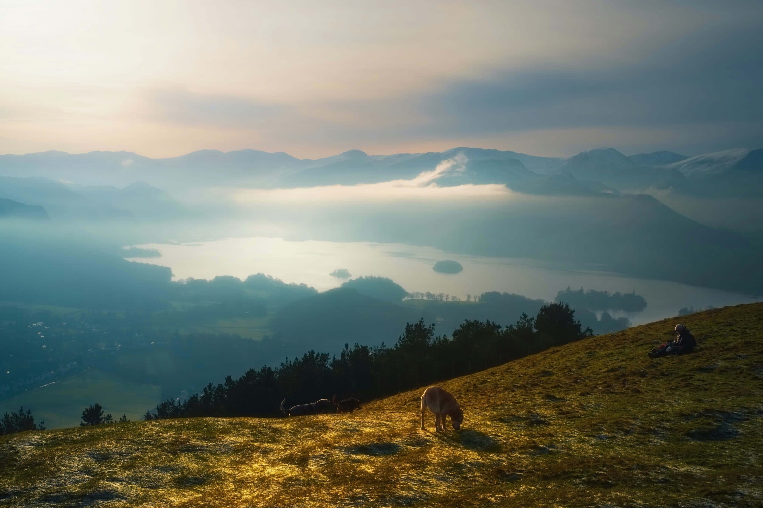 The Lake District Loop Road Trip: A Dog-Friendly Guide