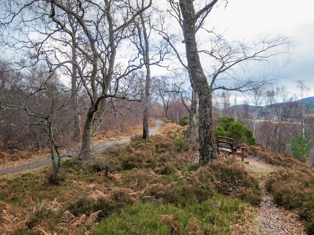 Speyside Way: Boat of Garten to Aviemore