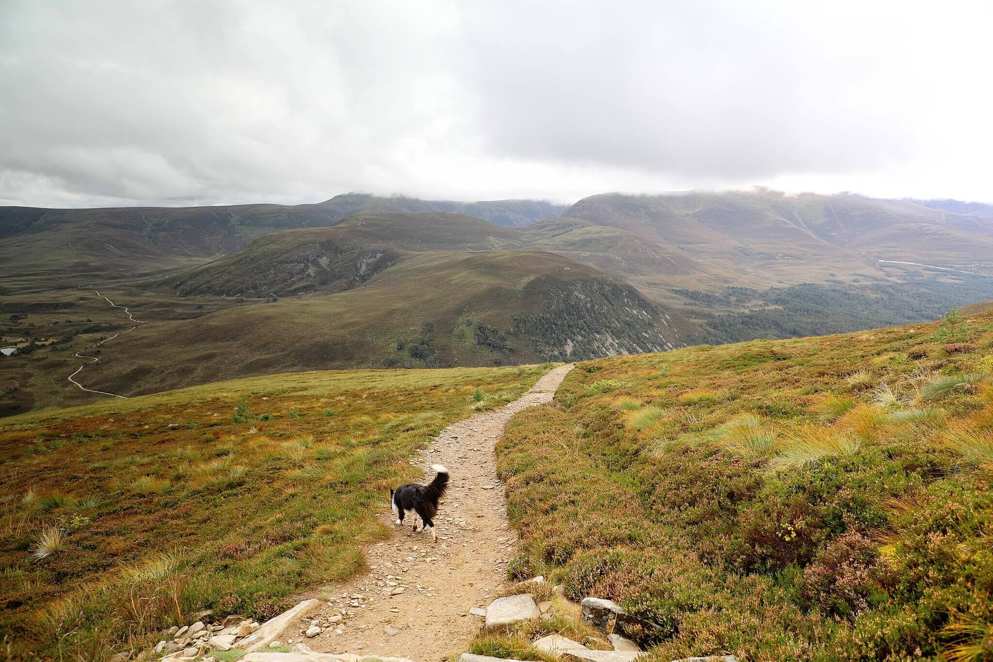Meall a’ Bhuachaille Summit Loop
