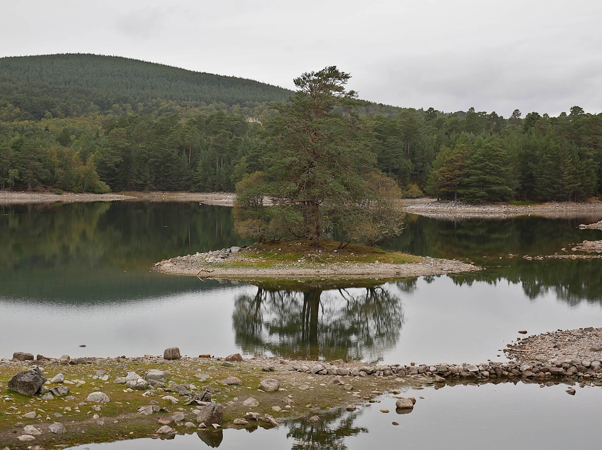 Loch Vaa Loop