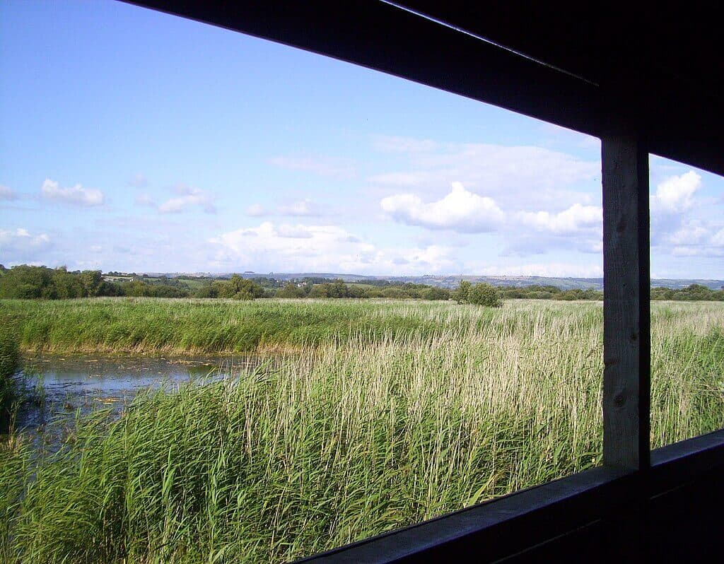 Westhay Moor
