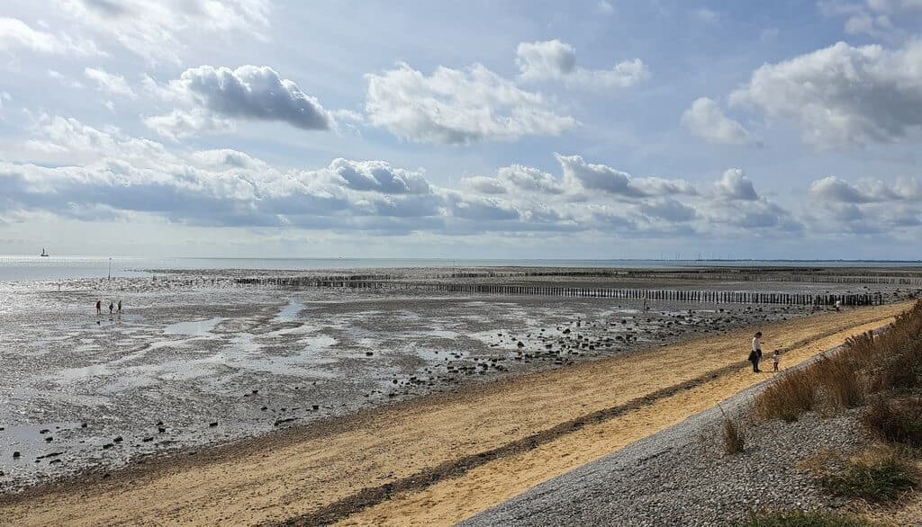 Cudmore Grove Coastal Walk