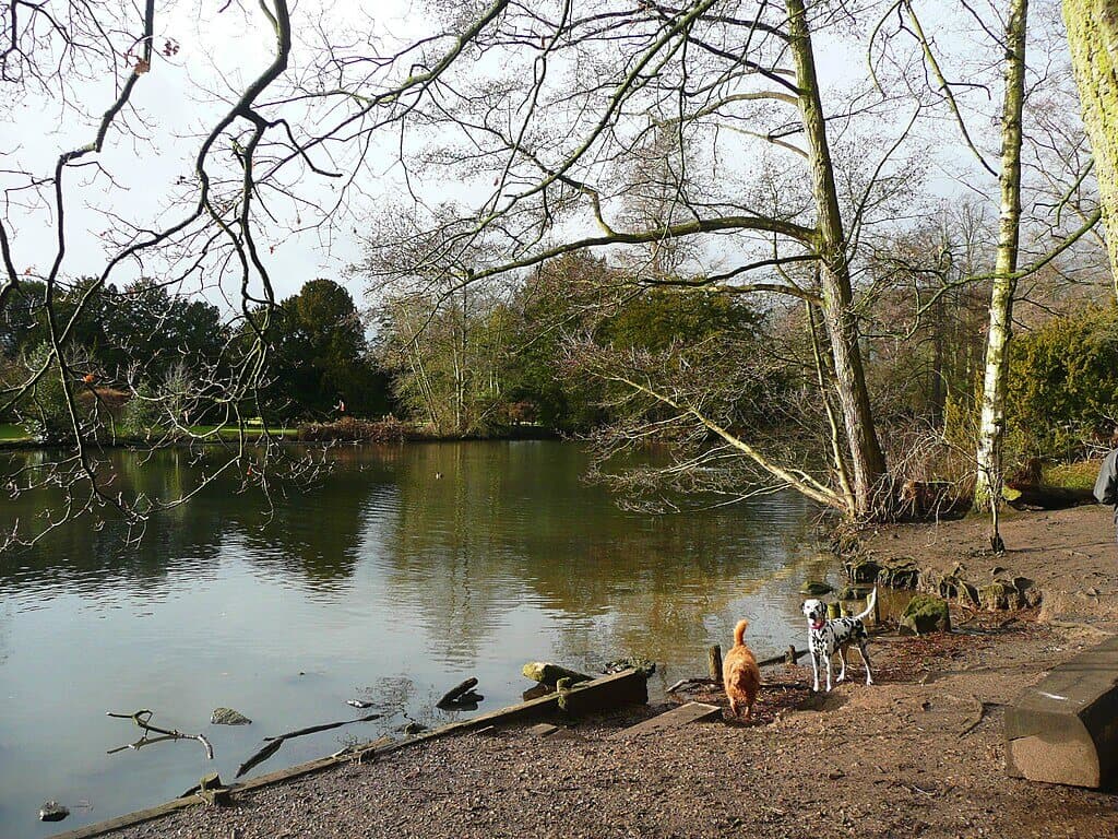 Elvaston Castle Country Park Circular