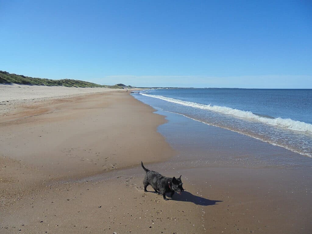 Druridge Bay Country Park