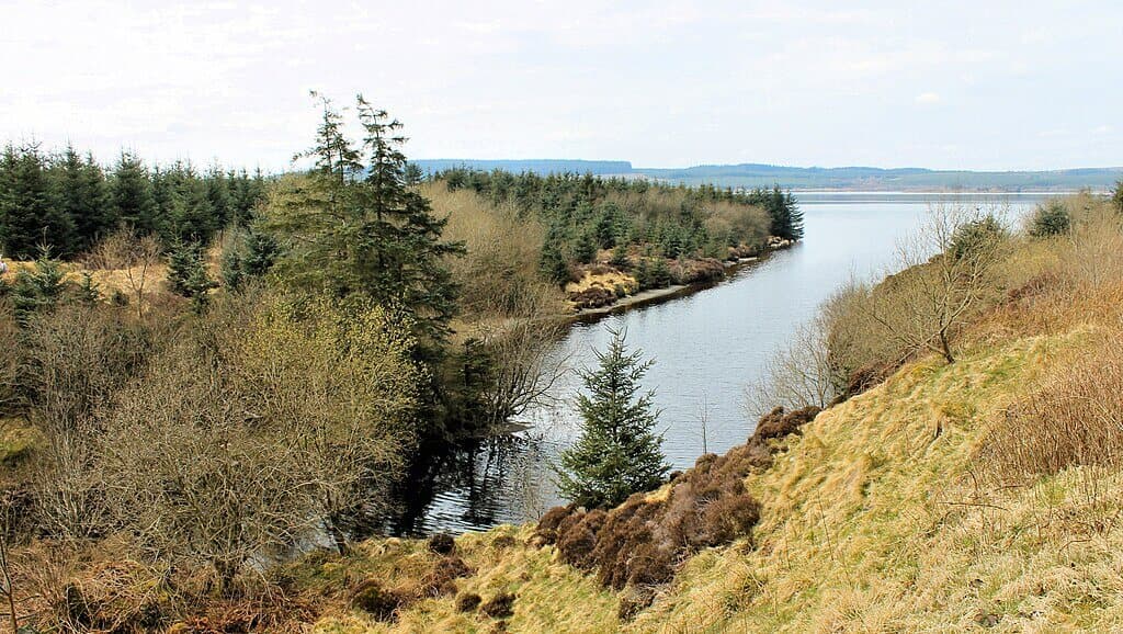 Llyn Brenig Reservoir Circular Walk