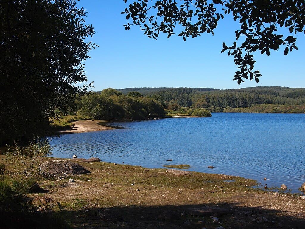Fernworthy Reservoir Circular Walk