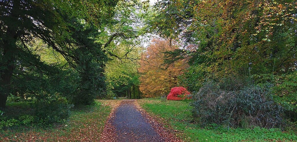Howick Hall Gardens & Estate