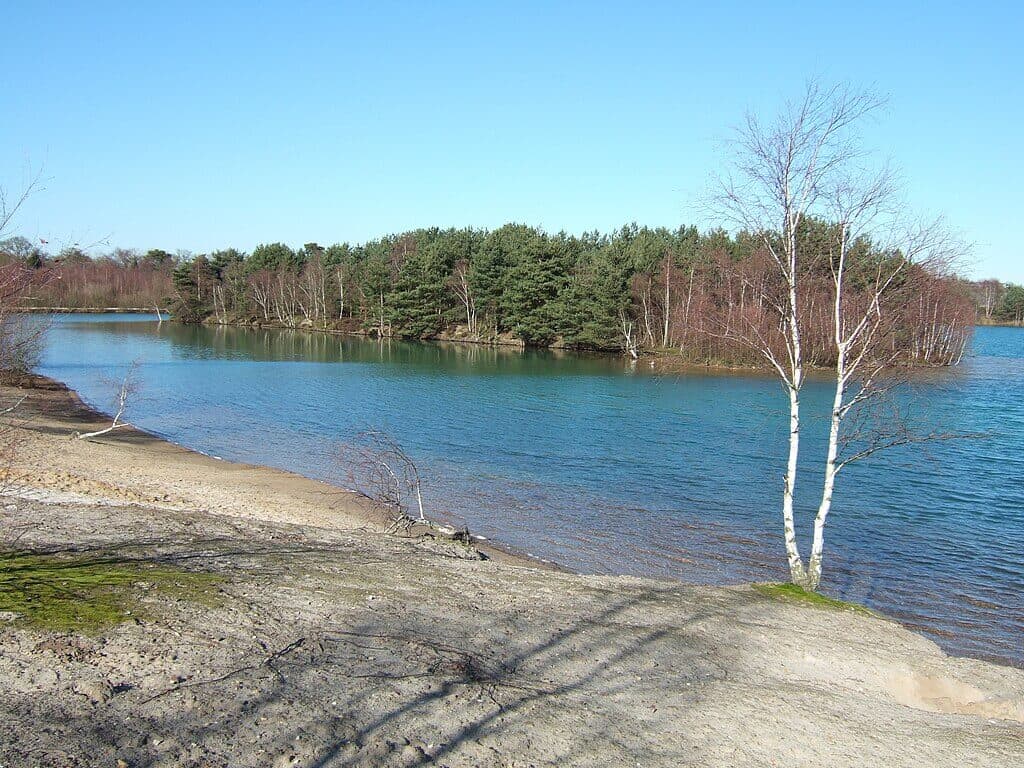 Bawsey Country Park Woodland & Lake Walk