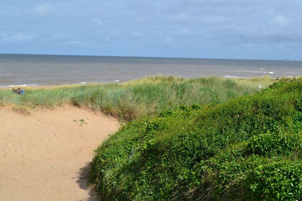 Anderby Creek