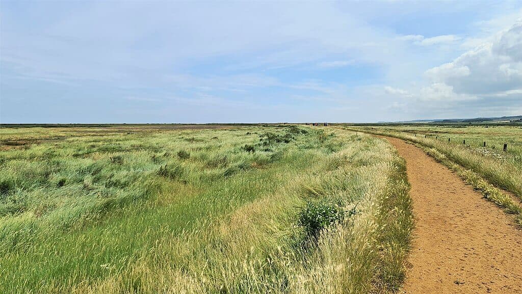 Blakeney Coastal Path Walk