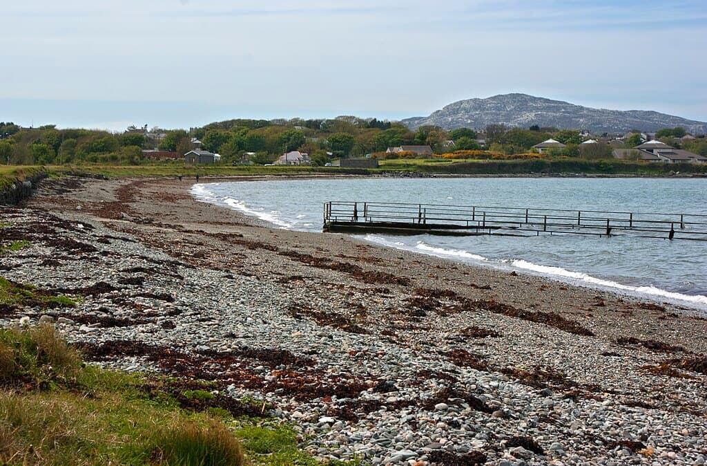 Penrhos Coastal Park (Beddmanarch Bay side)