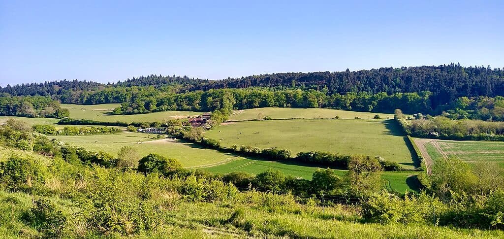 Pewley Down and Guildford Viewpoints
